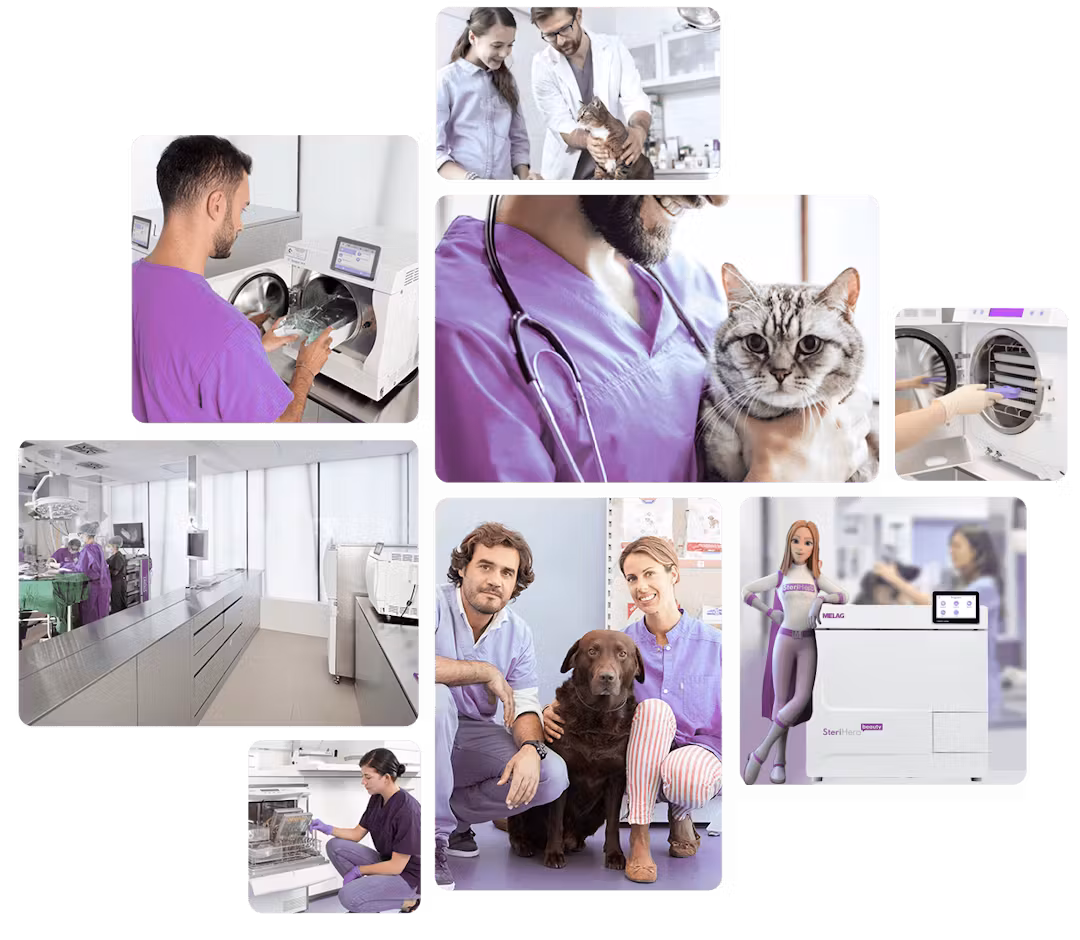 SteriHero-Vet-23-Hero-3